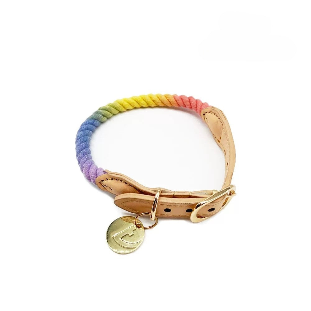 Rainbow-Colored Dog Collar