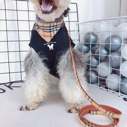 Bowtie and Neckerchief Collar for Dogs