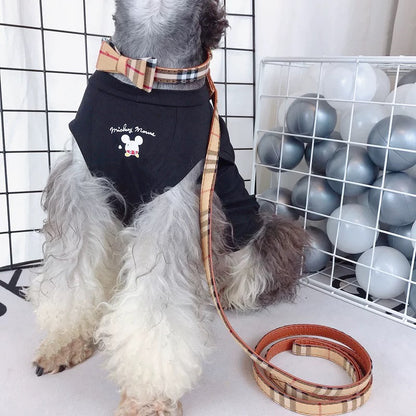 Bowtie and Neckerchief Collar for Dogs