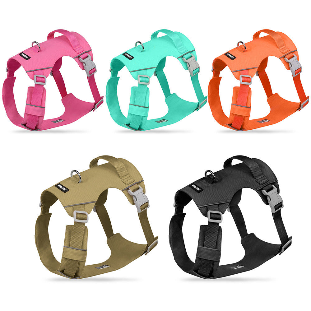 Adventure Dog Harness