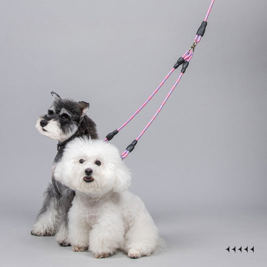 Dual Dog Leash for Two Pets