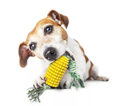 Corn-Shaped Squeaky Dog Toothbrush