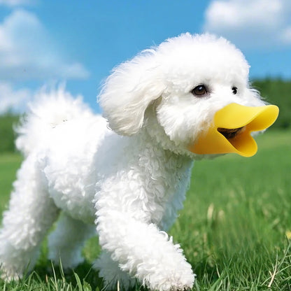 Adorable Duckbill Muzzle
