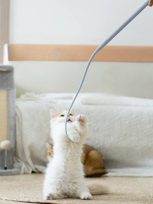 cat toy wand