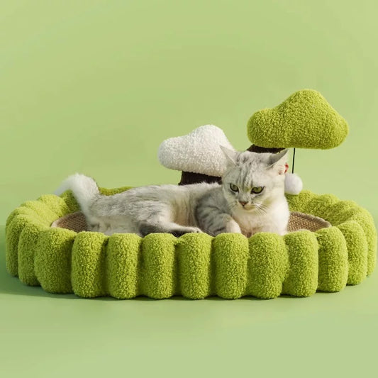 Cat Bed