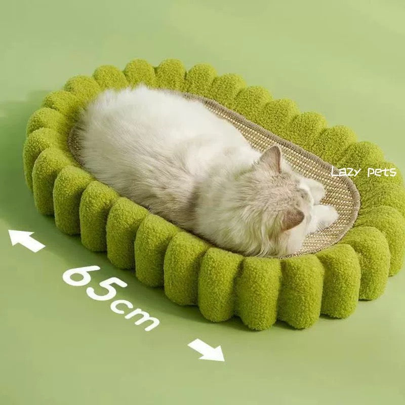Cat Bed