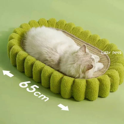 Cat Bed