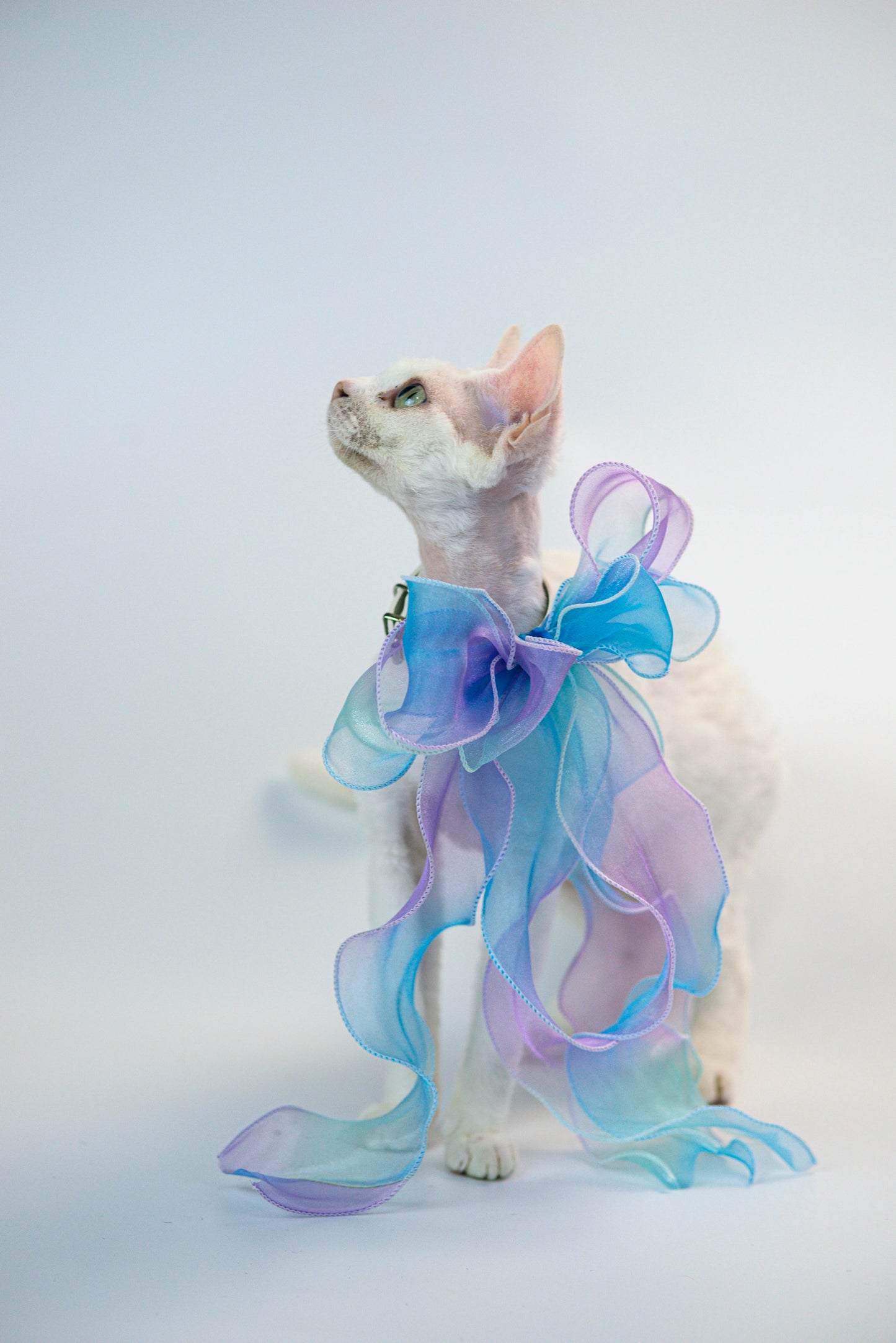 Butterfly Tulle Outfit