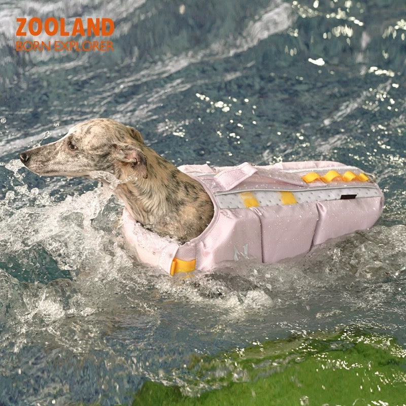 Durable Dog Swimwear with Strong Buoyancy