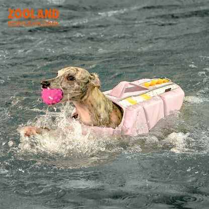 Durable Dog Swimwear with Strong Buoyancy
