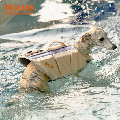 Durable Dog Swimwear with Strong Buoyancy