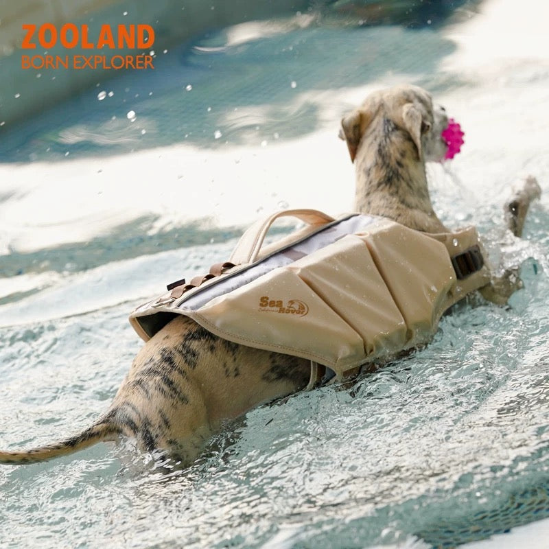 Durable Dog Swimwear with Strong Buoyancy