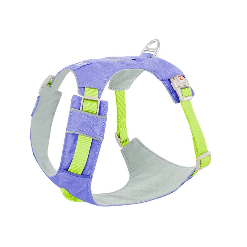 High-Visibility Dog Harness & Leash Combo for Outdoor Use
