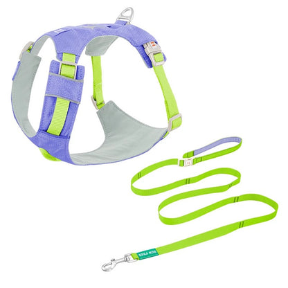 High-Visibility Dog Harness & Leash Combo for Outdoor Use