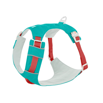 High-Visibility Dog Harness & Leash Combo for Outdoor Use