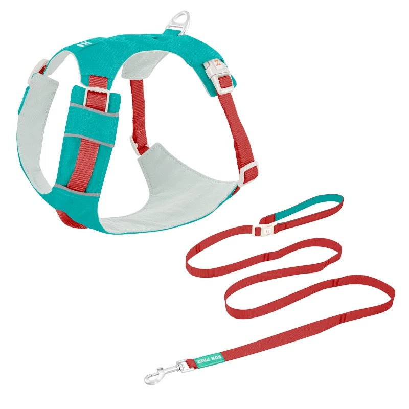 High-Visibility Dog Harness & Leash Combo for Outdoor Use