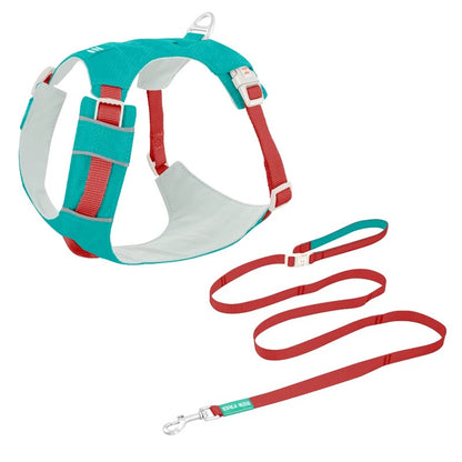 High-Visibility Dog Harness & Leash Combo for Outdoor Use