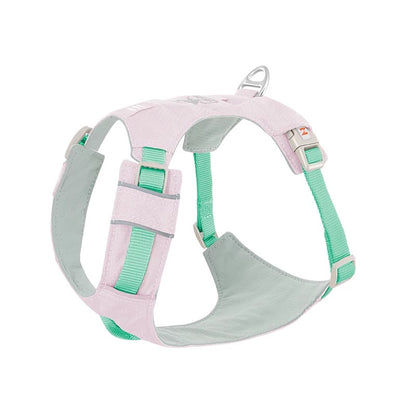 High-Visibility Dog Harness & Leash Combo for Outdoor Use