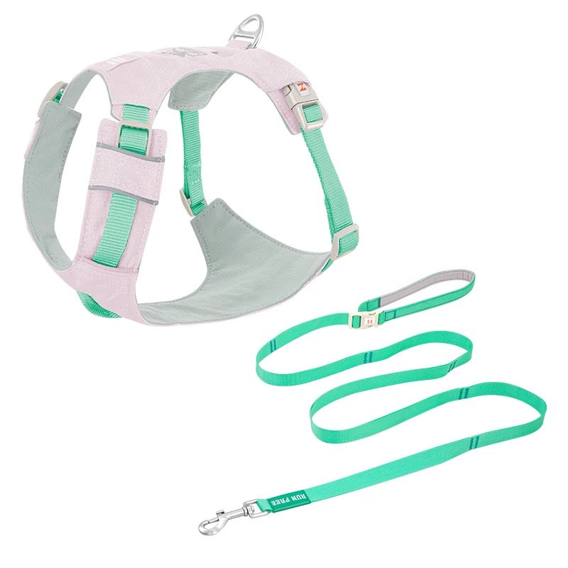 High-Visibility Dog Harness & Leash Combo for Outdoor Use