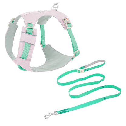 High-Visibility Dog Harness & Leash Combo for Outdoor Use