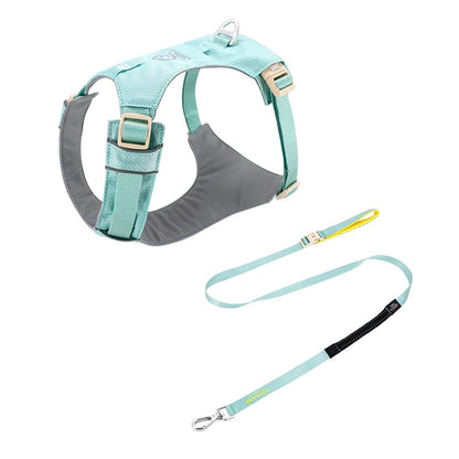 High-Visibility Dog Harness & Leash Combo for Outdoor Use
