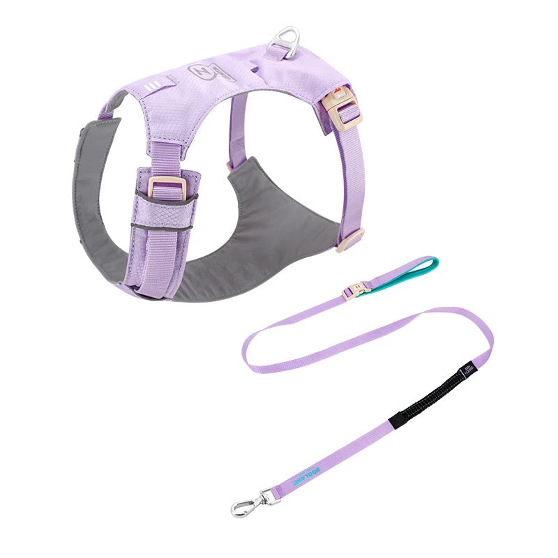 High-Visibility Dog Harness & Leash Combo for Outdoor Use