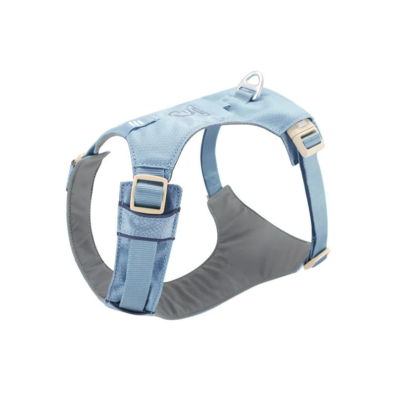 High-Visibility Dog Harness & Leash Combo for Outdoor Use