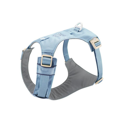 High-Visibility Dog Harness & Leash Combo for Outdoor Use