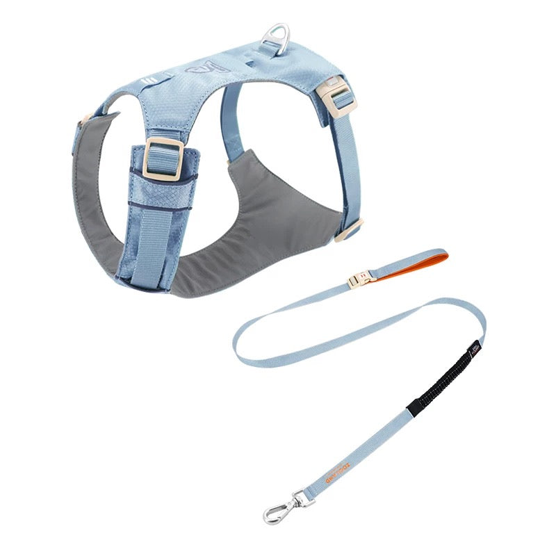 High-Visibility Dog Harness & Leash Combo for Outdoor Use