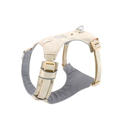 High-Visibility Dog Harness & Leash Combo for Outdoor Use