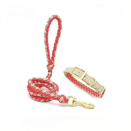 Fashion Hand-Braided Leather Leash