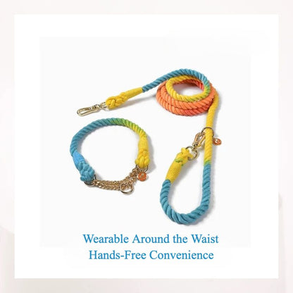 Woven P-Type Dog Collar and Leash Set