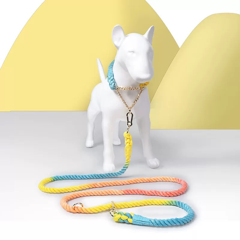 Woven P-Type Dog Collar and Leash Set