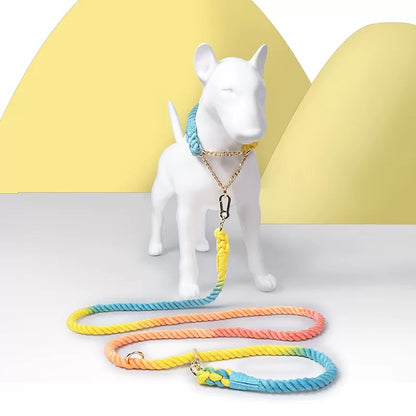 Woven P-Type Dog Collar and Leash Set
