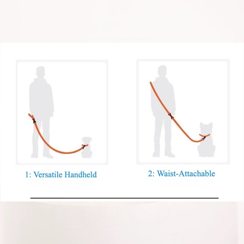 Woven P-Type Dog Collar and Leash Set