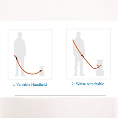 Woven P-Type Dog Collar and Leash Set