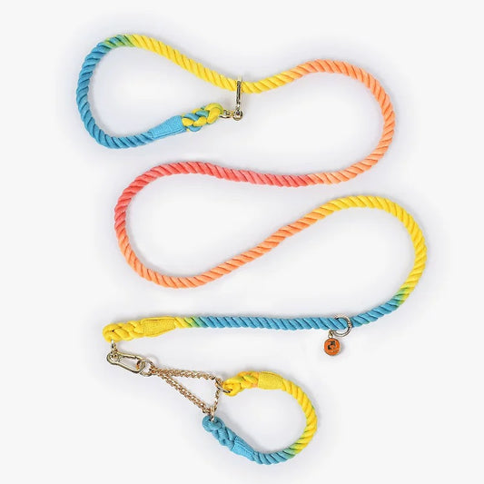 Woven P-Type Dog Collar and Leash Set