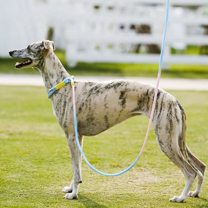Rainbow-Colored Anti-Pull Leash