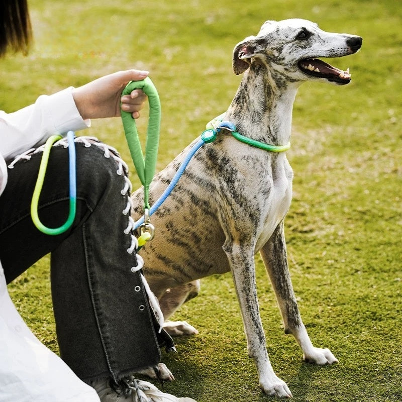 Rainbow-Colored Anti-Pull Leash