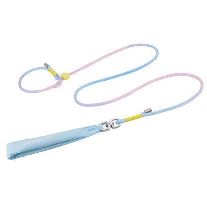 Rainbow-Colored Anti-Pull Leash