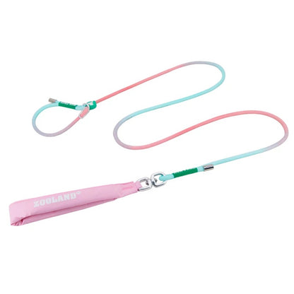 Rainbow-Colored Anti-Pull Leash