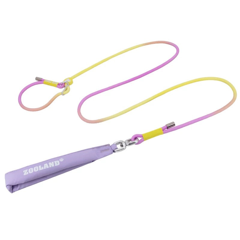 Rainbow-Colored Anti-Pull Leash