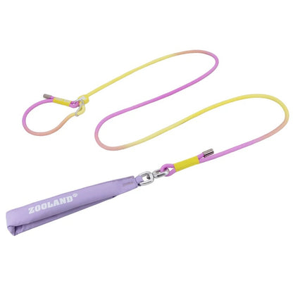 Rainbow-Colored Anti-Pull Leash