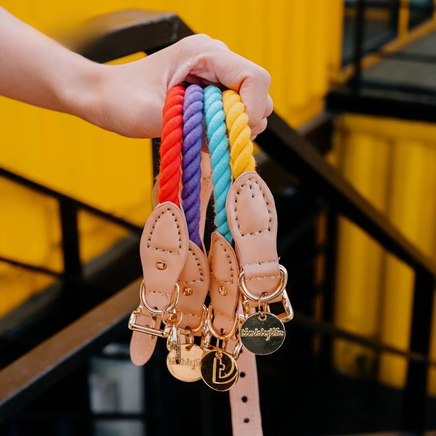 Rainbow-Colored Dog Collar