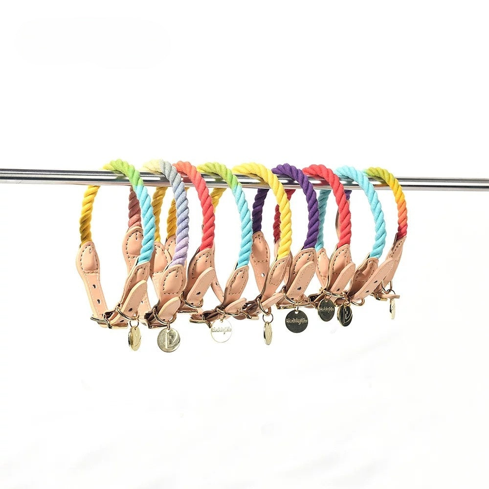 Rainbow-Colored Dog Collar