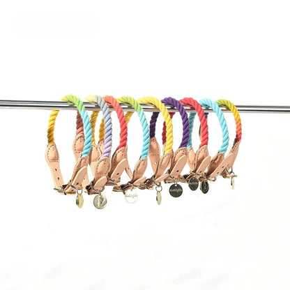 Rainbow-Colored Dog Collar
