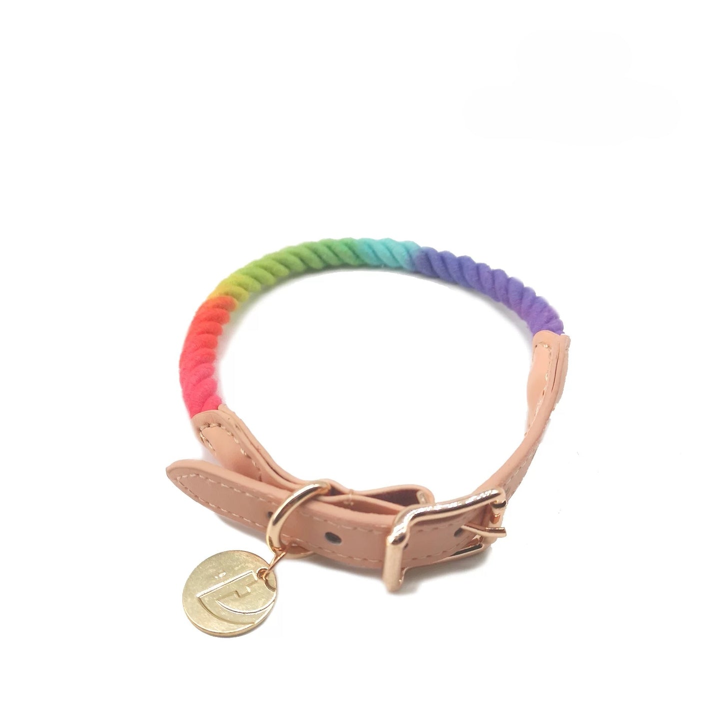 Rainbow-Colored Dog Collar