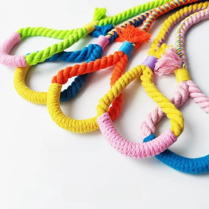 Hand-Braided Pet Leash