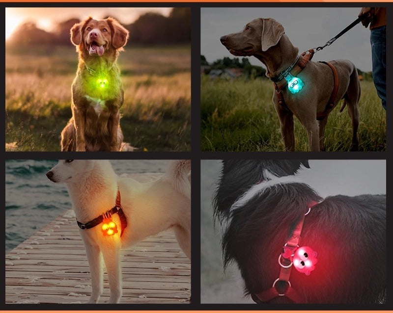 Octopus Glow Pendant