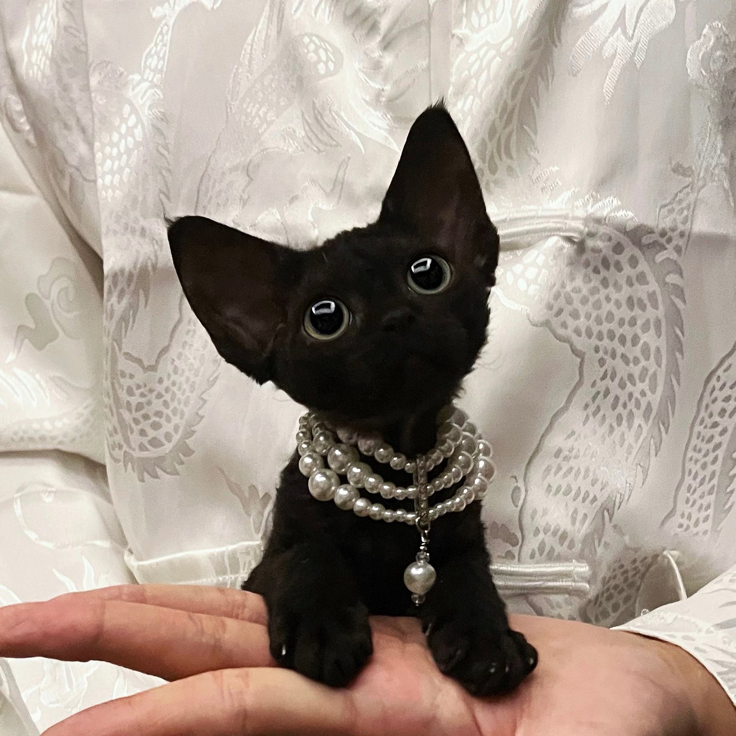 Royal-Style Cat Pearl Necklace